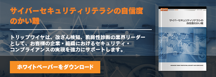 サイバーセキュリティリテラシの自信度のかい離