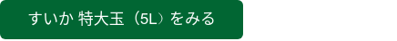 すいか 特大玉（5L）をみる