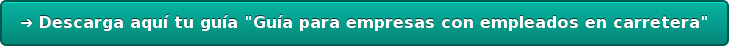 ➜ Descarga aquí tu guía "Guía para empresas con empleados en carretera"