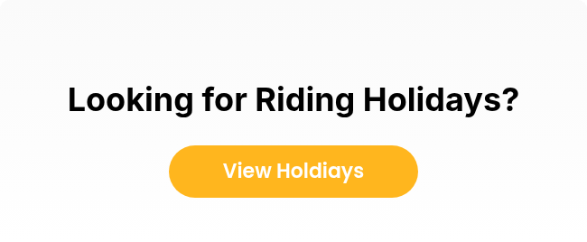 Looking for Riding Holidays?