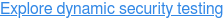 Explore dynamic security testing