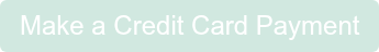 Make a Credit Card Payment