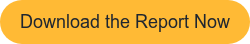 Download the Report Now