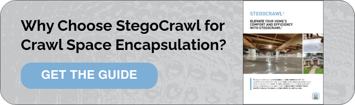 Why Choose StegoCrawl for Crawl Space Encapsulation? &nbsp;