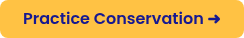 Practice Conservation ➜