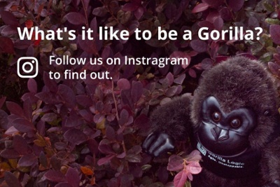 GorillaLogic_Instagram