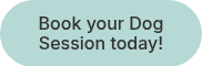 Book your Dog Session today!