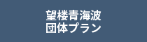 望楼青海波<br>団体プラン