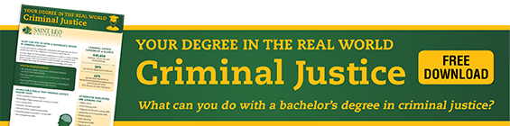 download criminal justice career guide