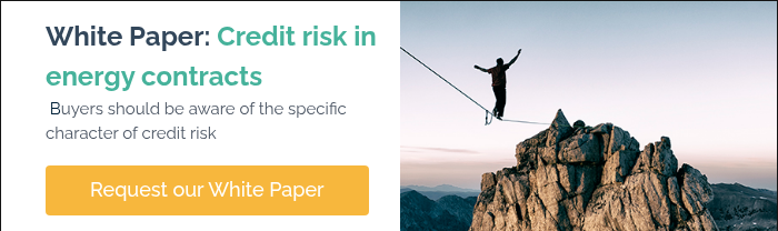 White Paper: Credit risk in energy contracts &nbsp;Buyers should be aware of the specific character of credit risk &nbsp;