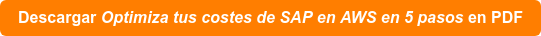 Linke SAP en AWS