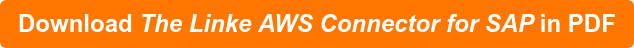 Download The Linke AWS Connector for SAP in PDF