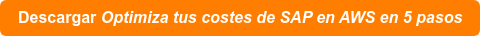Descargar Optimiza tus costes de SAP en AWS en 5 pasos