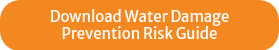 Download Water Damage Prevention Risk Guide