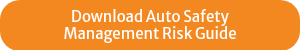 <p>Download Auto Safety</p>
<p>Management Risk Guide</p>