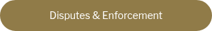 <div style="text-align: center;">Disputes &amp; Enforcement</div>