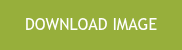 <p>DOWNLOAD IMAGE</p>