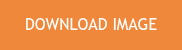 <p>DOWNLOAD IMAGE</p>