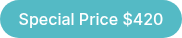 Special Price $420