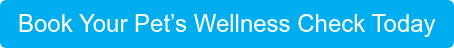 Book Your Pet’s Wellness Check Today