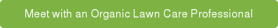 Meet with an Organic Lawn Care Professional