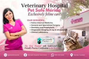 Pet Safe Veterinary Hospital Merida
