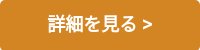 詳細を見る >