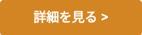 詳細を見る >