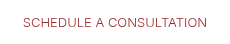 SCHEDULE A CONSULTATION