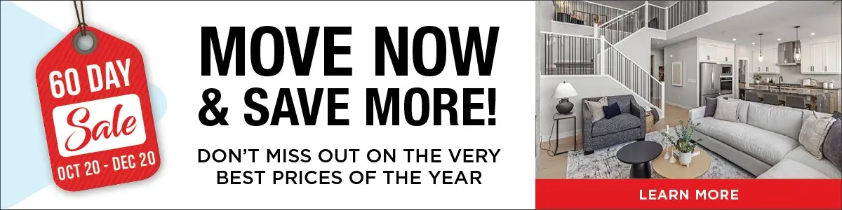 TC-29530 60 Day Sale Google Ads (1200x300) v5