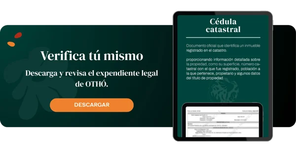 Descarga (3)