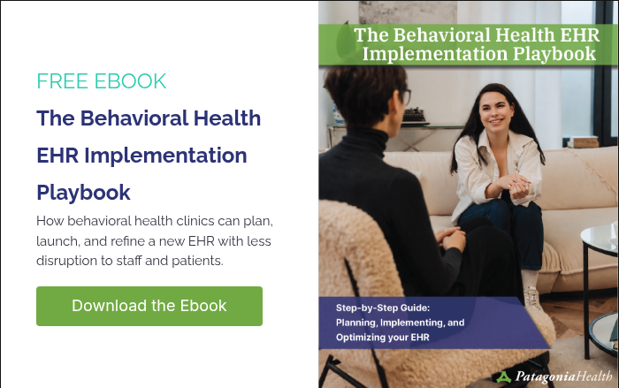 FREE EBOOK The Behavioral Health EHR Implementation Playbook How behavioral health clinics can plan, launch, and refine a new EHR with less disruption to staff and patients. &nbsp;