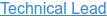 Technical Lead