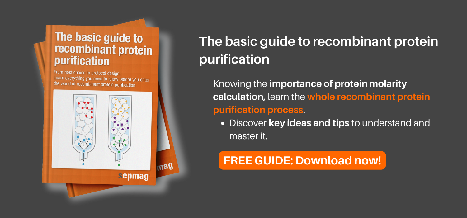 Protein Molarity Calculator Sepmag