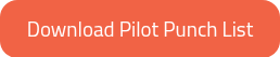 Download Pilot Punch List