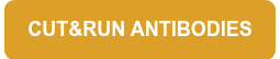 CUT&RUN ANTIBODIES