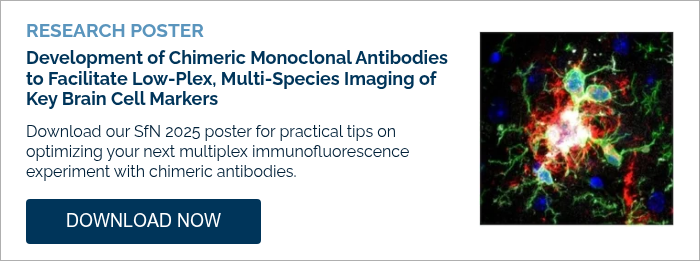 RESEARCH POSTER Development of Chimeric Monoclonal Antibodies to Facilitate Low-Plex, Multi-Species Imaging of Key Brain Cell Markers   Download our SfN 2025 poster for practical tips on optimizing your next multiplex immunofluorescence experiment with chimeric antibodies.  