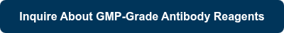 <div style="text-align: center; line-height: 1.5;"><span style="font-size: 16px;">Inquire About GMP-Grade Antibody Reagents</span></div>