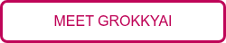MEET GROKKYAI