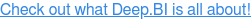 Check out what Deep.BI is all about!