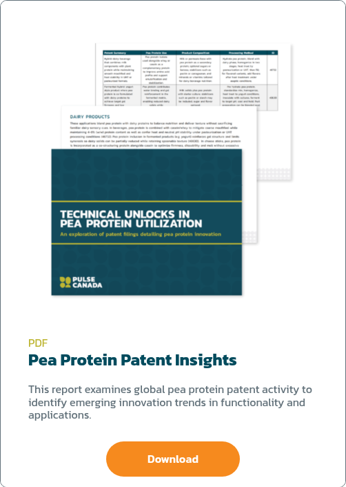 IP Report-1