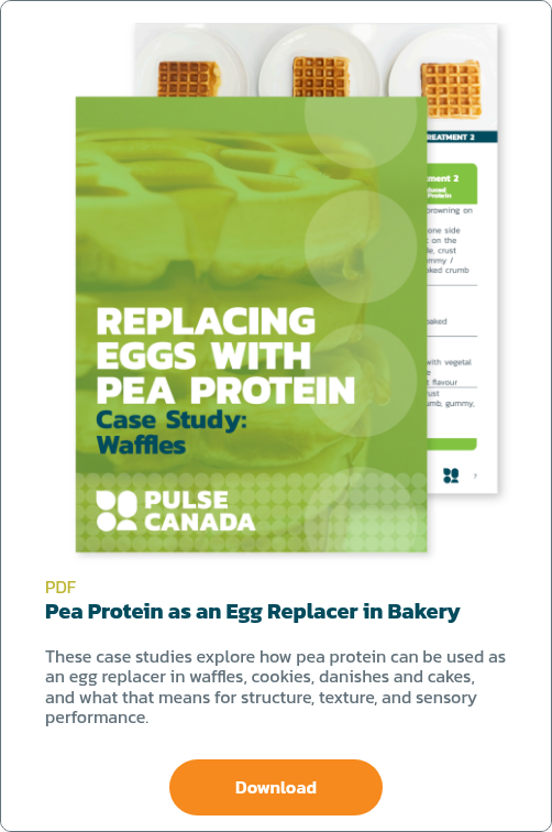 Pea Protein Egg Replacer Studies-1-1