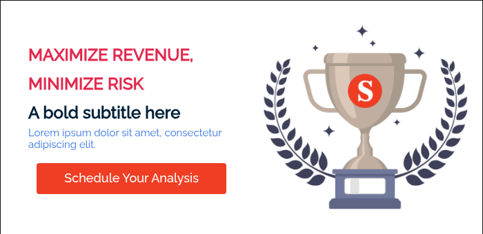 MAXIMIZE REVENUE, MINIMIZE RISK A bold subtitle here Lorem ipsum dolor sit amet, consectetur adipiscing elit.  