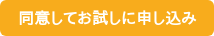 同意してお試しに申し込み