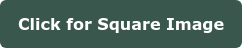 Click for Square Image