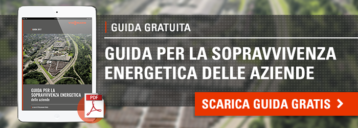 guida sopravvivenza energetica