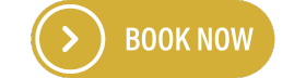January 2026 Book A Meeting Button