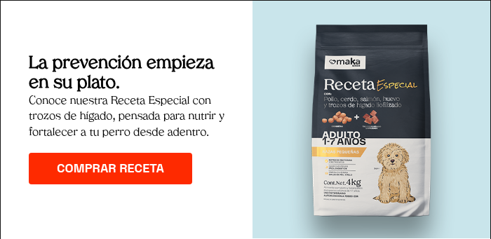 La prevención empieza en su plato. Conoce nuestra Receta Especial con trozos de hígado, pensada para nutrir y fortalecer a tu perro desde adentro.  