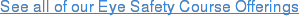 See all of our Eye Safety Course Offerings