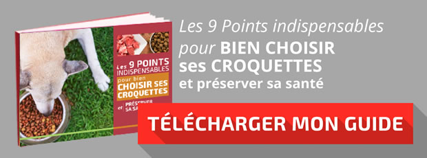 Télécharger le guide : "Les 9 points indispensables pour bien choisir ses croquettes"
